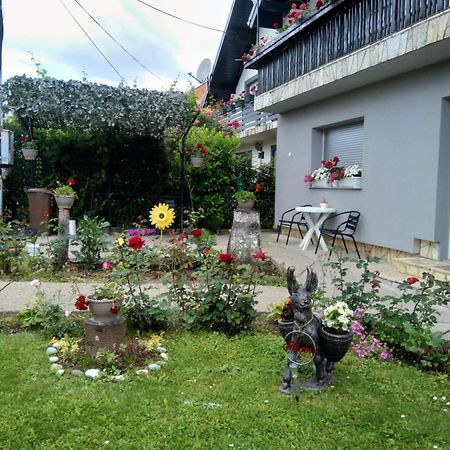 Apartamento Pepa Zg Zagreb Exterior foto