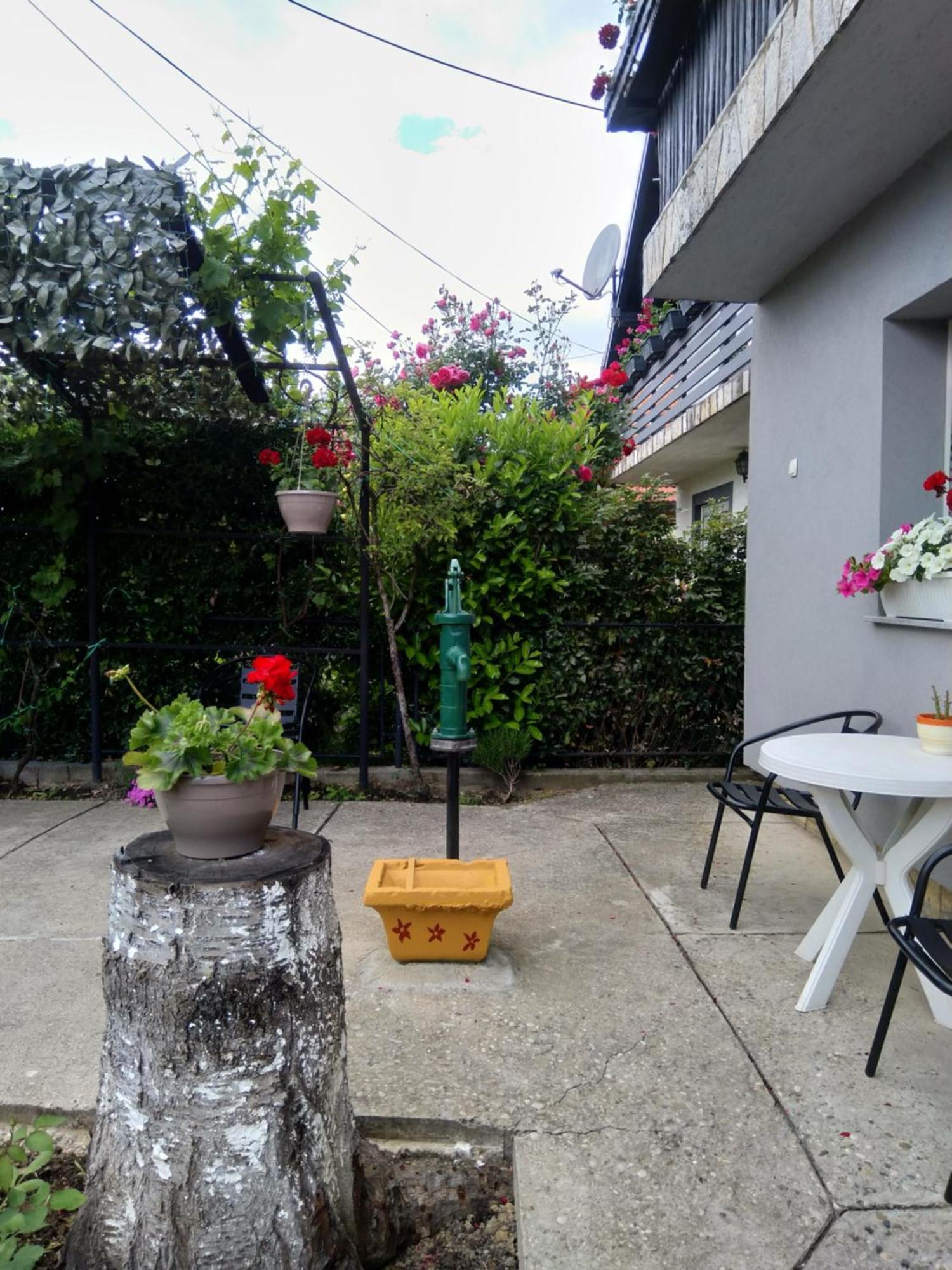 Apartamento Pepa Zg Zagreb Exterior foto