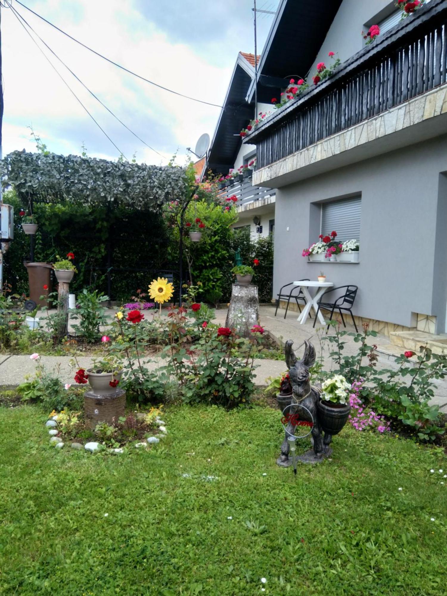 Apartamento Pepa Zg Zagreb Exterior foto